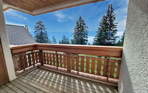 Logement:&nbsp;Le Chamois D'Or A303 480.2