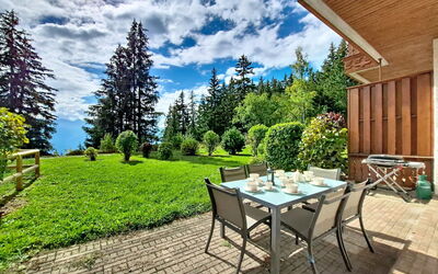 Logement:&nbsp;Le Chamois D'Or Combi 480.1