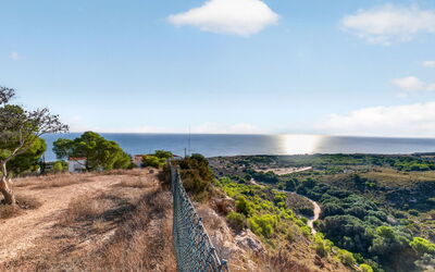 Panorama