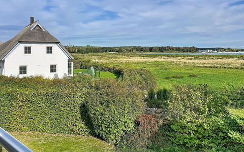 Moderne Zeiten: Vert, Herbe, Végétation, Maison, Prairie, Toit, Paysage, Zone Rurale, Chalet
