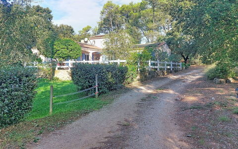 Moun Pantai: Arbre, Arbuste, Biens, Chalet, Sol, Banlieue, Ombre, Piste, Hacienda, Allée