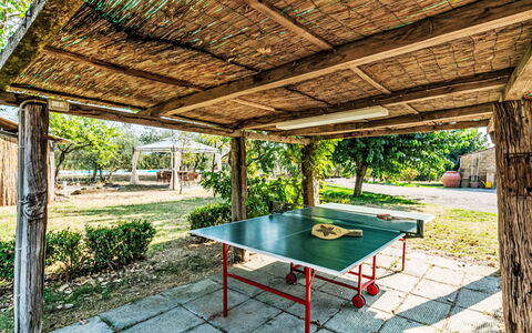 Podere degli Ulivi: Piscine, Mobilier De Jardin, Jardin, Meubles, Recours, Ombre, Eco Hôtel, Arrière-Cour, Loisir, Chaise
