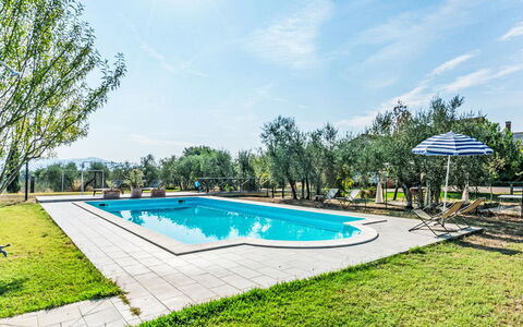 Podere degli Ulivi: Piscine, Mobilier De Jardin, Jardin, Meubles, Recours, Ombre, Eco Hôtel, Arrière-Cour, Loisir, Chaise