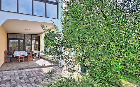 Pod Meloni: Ombre, Jardin, Biens, Aménagement Paysager, Balcon, Villa, Hacienda, Arrière-Cour