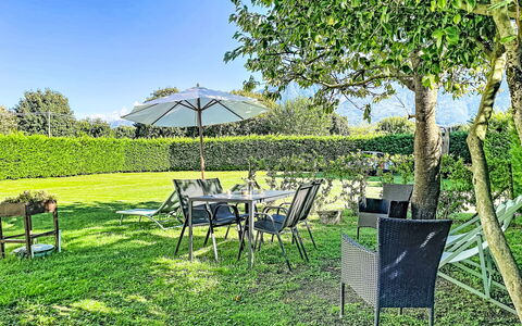 Carla: Herbe, Vert, Arbuste, Meubles, Jardin, Lot Terre, Pelouse, Mobilier De Jardin, Couverture De Sol, Ombre