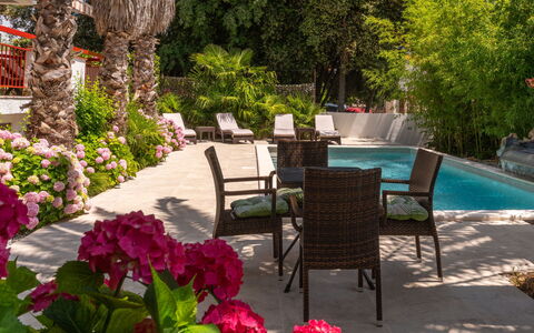 Botanica: Appartement, Recours, Piscine, Condominium, Balcon, Hôtel, Eco Hôtel, Villa, Plante D'Appartement