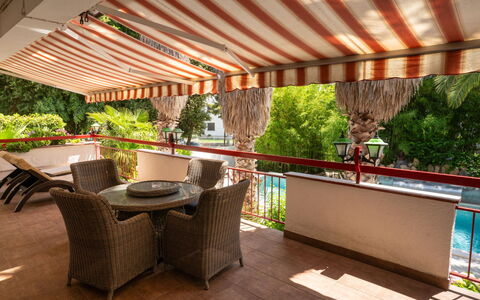 Botanica: Appartement, Recours, Piscine, Condominium, Balcon, Hôtel, Eco Hôtel, Villa, Plante D'Appartement