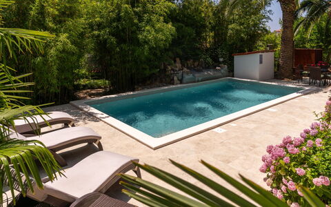 Botanica: Appartement, Recours, Piscine, Condominium, Balcon, Hôtel, Eco Hôtel, Villa, Plante D'Appartement