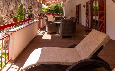 Botanica: Appartement, Recours, Piscine, Condominium, Balcon, Hôtel, Eco Hôtel, Villa, Plante D'Appartement