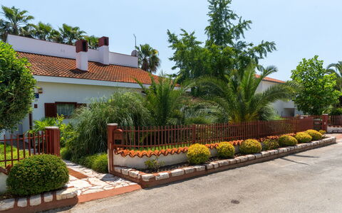 Botanica: Appartement, Recours, Piscine, Condominium, Balcon, Hôtel, Eco Hôtel, Villa, Plante D'Appartement