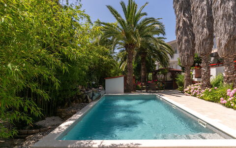 Botanica: Appartement, Recours, Piscine, Condominium, Balcon, Hôtel, Eco Hôtel, Villa, Plante D'Appartement