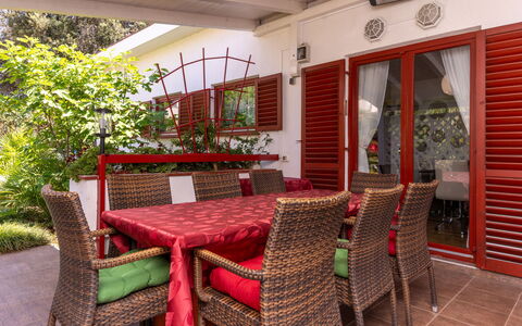 Botanica: Appartement, Recours, Piscine, Condominium, Balcon, Hôtel, Eco Hôtel, Villa, Plante D'Appartement