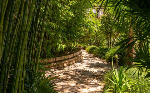 Botanica: Appartement, Recours, Piscine, Condominium, Balcon, Hôtel, Eco Hôtel, Villa, Plante D'Appartement