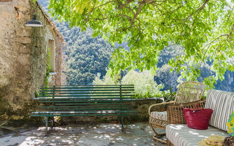 Casa Il Noce: Appartement, Recours, Piscine, Condominium, Balcon, Hôtel, Eco Hôtel, Villa, Plante D'Appartement
