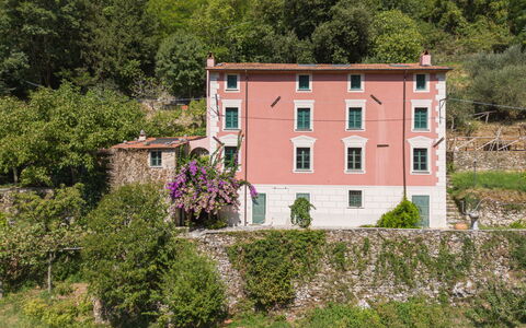 Casa Il Noce: Appartement, Recours, Piscine, Condominium, Balcon, Hôtel, Eco Hôtel, Villa, Plante D'Appartement