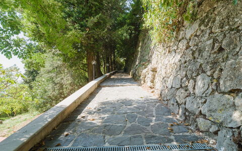 Casa Il Noce: Appartement, Recours, Piscine, Condominium, Balcon, Hôtel, Eco Hôtel, Villa, Plante D'Appartement