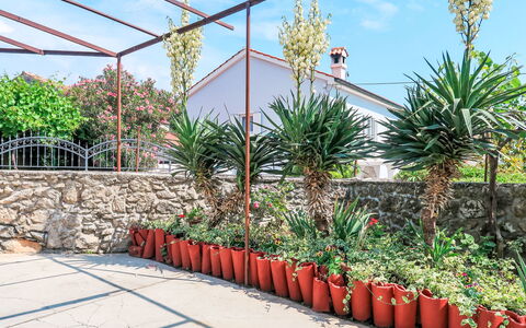Mateja: Pot De Fleur, Jardin, Plante D'Appartement, Aménagement Paysager, Floristique, Jardin Botanique