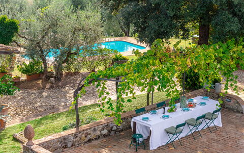 Podere Selva, Pool, Chianti: Arbuste, Jardin, Piscine, Ombre, Arrière-Cour, Mobilier De Jardin, Aménagement Paysager, Cour, Recours, Pot De Fleur