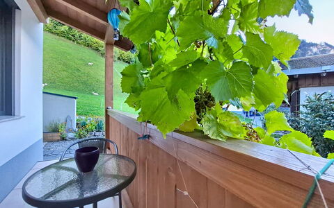 Oberladstätter: Ombre, Tache De Bois, Dur, Eco Hôtel, Balcon, Plante D'Appartement