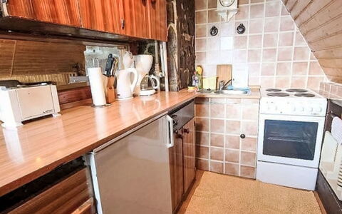 Svahová 1: Bois, Cuisine, Comptoir, Principaux Appliance, Meubles, Sol, Appareil De Cuisine, Cuisinière, Cabinetry, Sol