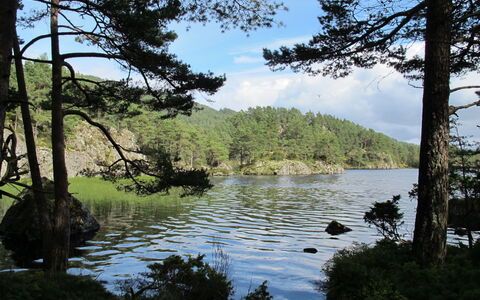 Hauken: Ressources En Eau, L'Eau, Plan D'Eau, Arbre, La Nature, Environnement Naturel, Vert, Paysage Naturel, Végétation, Cours D'Eau