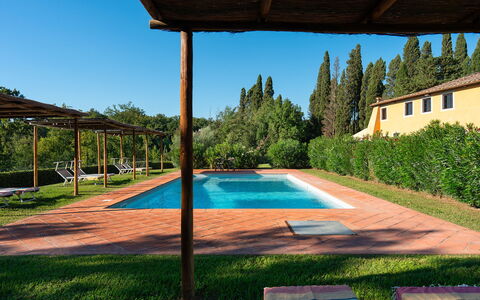 Villa Poggio Bellavista 8: Piscine, Ombre, Hacienda, Jardin, Eco Hôtel, Biens, Ferme, Aménagement Paysager, Arrière-Cour, Recours