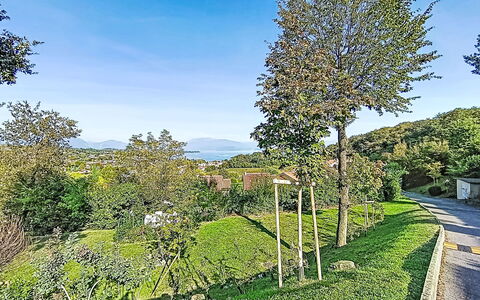 Casa Prais: Feuille, Végétation, Arbuste, Printemps, Suppression Des Plantes Ligneuses, Jardin, Haie, Aménagement Paysager, Plantation, À Feuilles Persistantes