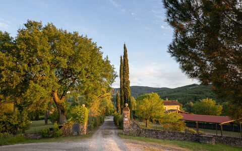 Tuscan Hamlet Relais Piettorri: Feuille, Arbre, Branche, Tronc, Lumière Du Soleil, Brindille, Ombre, Aménagement Paysager, Allée, Ombre