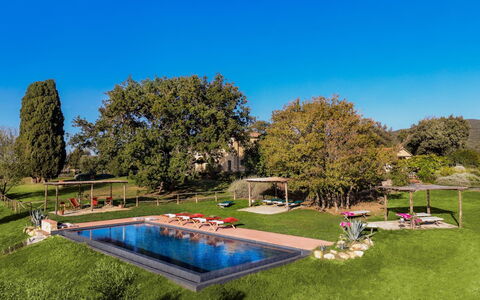 Villa Monte, Bolgheri: Arbre, Piscine, Paysage, Jardin, Loisir, Pelouse, Aménagement Paysager, Parc, Biens, Recours