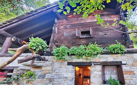 Chalet degli Gnomi: Arbre, Neige, L'Hiver, Forêt, Gelé, Mélèze, À Feuilles Persistantes, Des Bois