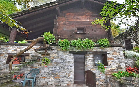 Chalet degli Gnomi: Arbre, Neige, L'Hiver, Forêt, Gelé, Mélèze, À Feuilles Persistantes, Des Bois