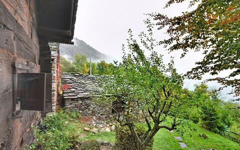 Chalet degli Gnomi: Arbre, Neige, L'Hiver, Forêt, Gelé, Mélèze, À Feuilles Persistantes, Des Bois