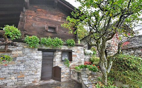 Chalet degli Gnomi: Arbre, Neige, L'Hiver, Forêt, Gelé, Mélèze, À Feuilles Persistantes, Des Bois