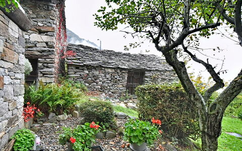 Chalet degli Gnomi: Arbre, Neige, L'Hiver, Forêt, Gelé, Mélèze, À Feuilles Persistantes, Des Bois