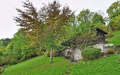 Chalet degli Gnomi: Arbre, Neige, L'Hiver, Forêt, Gelé, Mélèze, À Feuilles Persistantes, Des Bois
