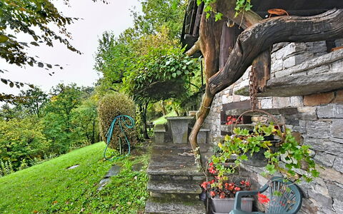 Chalet degli Gnomi: Arbre, Neige, L'Hiver, Forêt, Gelé, Mélèze, À Feuilles Persistantes, Des Bois