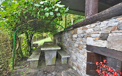 Chalet degli Gnomi: Arbre, Neige, L'Hiver, Forêt, Gelé, Mélèze, À Feuilles Persistantes, Des Bois