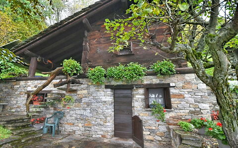 Chalet degli Gnomi: Arbre, Neige, L'Hiver, Forêt, Gelé, Mélèze, À Feuilles Persistantes, Des Bois