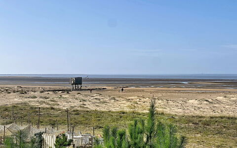 Le Padioleau: Horizon, Écorégion, Plaine, Lot Terre, Steppe, Mer, Côte, Rive, Plage, Le Sable