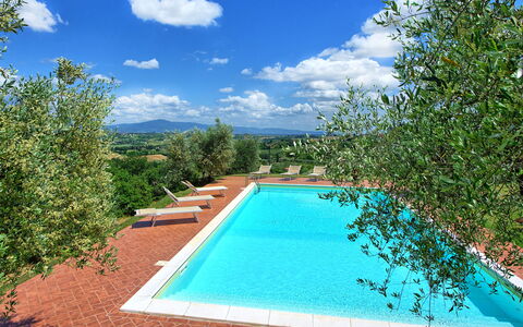 Villa Ulivi: L'Eau, Nuage, Ciel, Propriété, Piscine, Bleu Azur, Plante, Paysage Naturel, Rectangle, Plan D'Eau