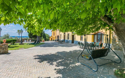Vinci 815: Plante, Ombre, Surface De La Route, Mobilier De Jardin, Design Urbain, Arbre, Bois, Suppression Des Plantes Ligneuses, Loisir, Herbe