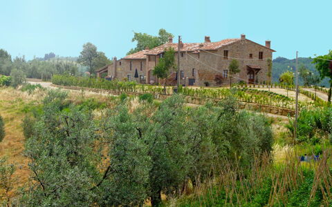 Montaione 955: Plante, Ciel, Communauté Des Plantes, Bâtiment, Paysage Naturel, Arbre, Végétation, Lot Terre, Fenêtre, Herbe