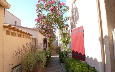 Les Leucatines 3: Propriété, Maison, Rose, Bâtiment, Architecture, Ruelle, Plante, Arbre, Immobilier, Fleur
