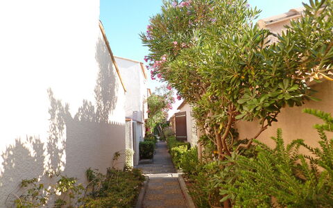 Les Leucatines 3: Arbre, Propriété, Végétation, Immobilier, Maison, Quartier, Plante, Architecture, Botanique, Suppression Des Plantes Ligneuses
