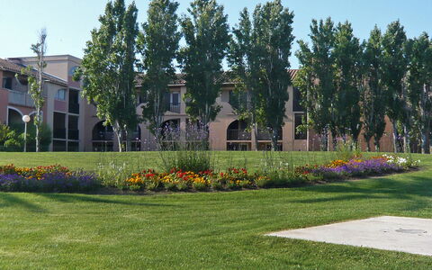 Canet-Plage 200: Herbe, Arbre, Arbuste, Espace Public, Zone Résidentielle, Jardin, Couverture De Sol, Pelouse, Ombre