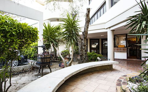 Rose des Sables: Plante, Propriété, Bâtiment, Architecture, Fenêtre, Arecales, Arbre, Design Urbain, Condominium, Immobilier