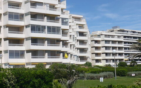Canet-Plage 710: Plante, Bâtiment, Propriété, Fenêtre, Ciel, Arbre, Bloc Tour, Design Urbain, Quartier, Zone Résidentielle