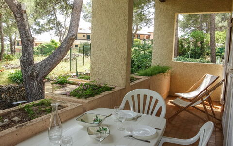Super Ile Rousse: Table, Plante, Meubles, Vaisselle, Propriété, Bâtiment, Chaise, Arbre, Design Intérieur, Ombre