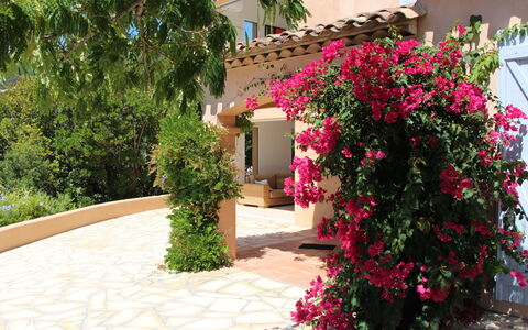 Mare e Sole: Fleur, Plante, Propriété, Bâtiment, Fenêtre, Pétale, Suppression Des Plantes Ligneuses, Paysage, Arbuste, Arbre