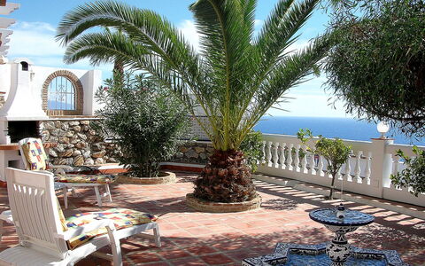 Villa Mimosa: Propriété, Arbre, Palmier, Immobilier, Bâtiment, Arecales, Vacances, Bleu Majorelle, Bleu Azur, Maison